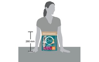 Purina ONE | Bifensis |Kattenvoeding | Adult | Urinary Care 