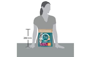 Purina ONE | Bifensis |Kattenvoeding | Adult | Urinary Care 