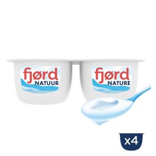Danone | Yaourt | Nature | Spécialité laitière 4 x 125 gr
