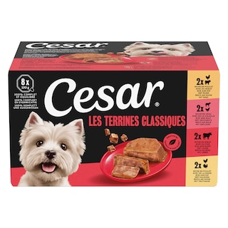 Cesar | Hondenvoeding | Terrine | Mix Vlees 