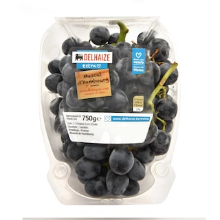 Delhaize | RAISIN | MUSCAT DE HAMBOURG 