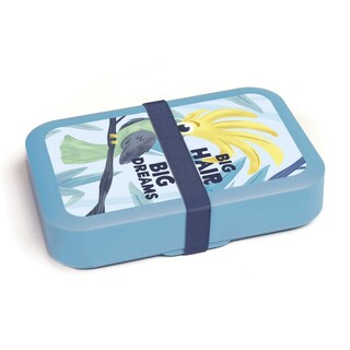 DBP Plastics | Lunchbox Bigg Hair Large 