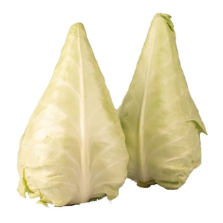 Delhaize | Chou pointu 