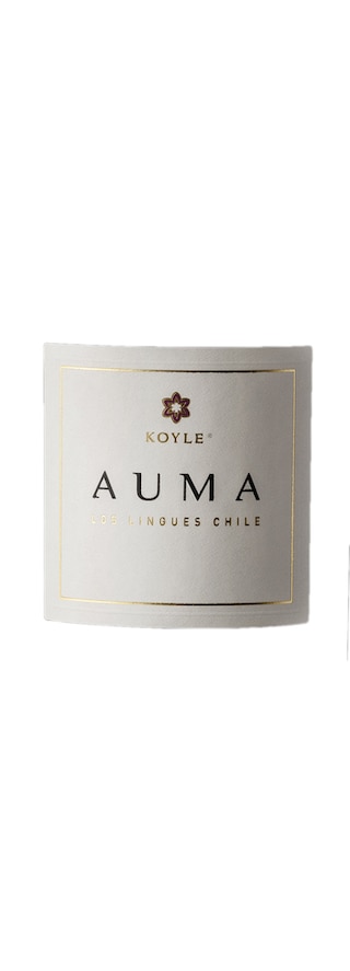 Chili | Koyle Auma | Bio | Rouge 