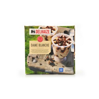 Delhaize | Dame Blanche | Crème glacée 