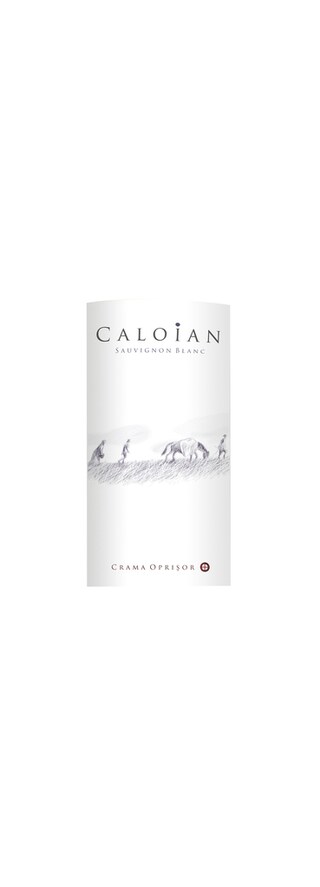 Caloian | Sauvignon Blanc 