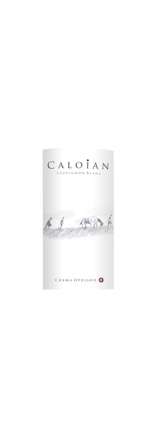 Caloian | Sauvignon Blanc 