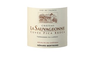 France - Frankrijk | Midi de la France - Languedoc | Sauvageonne Pica Broca 15 