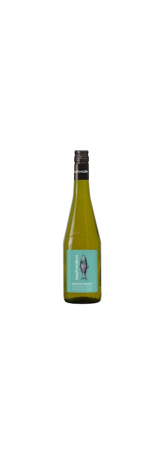 Seafood & Co | Muscadet Sèvre & Maine sur Lie | 2022 