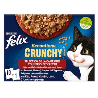 Felix