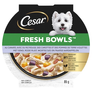 Cesar | Aliment Chien | Bowls | Canard | Riz 
