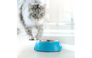 Purina ONE | Bifensis | Kattenvoeding | Sterilised | Brokjes | Kip 