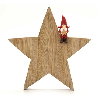 Delhaize | Houten ster deco met Kerstman 