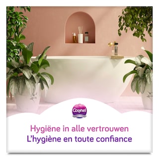 Cosynel | Toilettenpapier | Gold | Quattro | Eco 