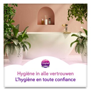 Cosynel | Papier Toilette | Gold | Quattro | Eco 6 pc