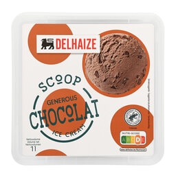 Delhaize | Roomijs | Chocolade 