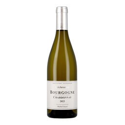 Michel Gayot | Bourgogne Chardonnay | 2023 
