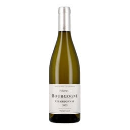 Michel Gayot | Bourgogne Chardonnay | 2023 