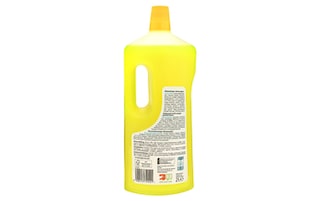 Delhaize | Nettoie-tout | Citron 