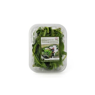 Delhaize | Lamsoor 