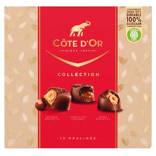Côte d'Or | Chocolat | Sélection Pralines Mix 135 gr