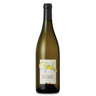 Belgique - België | Triturus 2019 Blanc 