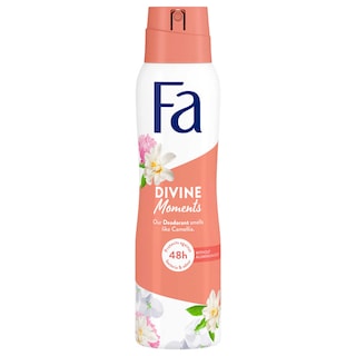 Fa | Deo | Divine Moments 