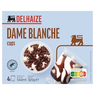 Delhaize | Ijsroom | Dame blanche 