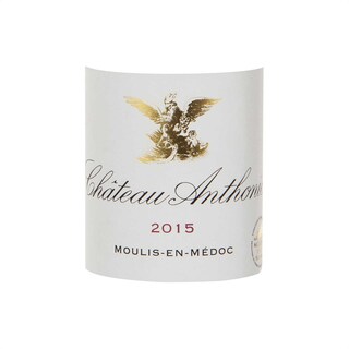 France - Frankrijk | Bordeaux - Moulis en Médoc | Château Anthonic 2015 Rood 