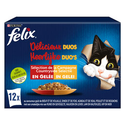 Felix | Aliment Chat | Délicieux Duos | Viande 