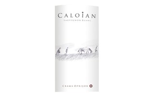 Caloian