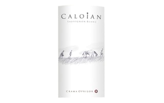 Caloian | Sauvignon Blanc 