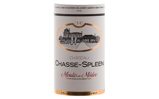Chateau Chasse-Spleen | Moulis-en-Médoc | 2020 75 cl