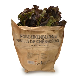 Delhaize | Salade feuilles de chêne | Rouge | Racines 