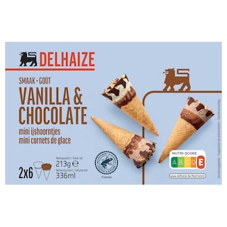 Delhaize | Mini Ijshoorn vanille en chocolade 