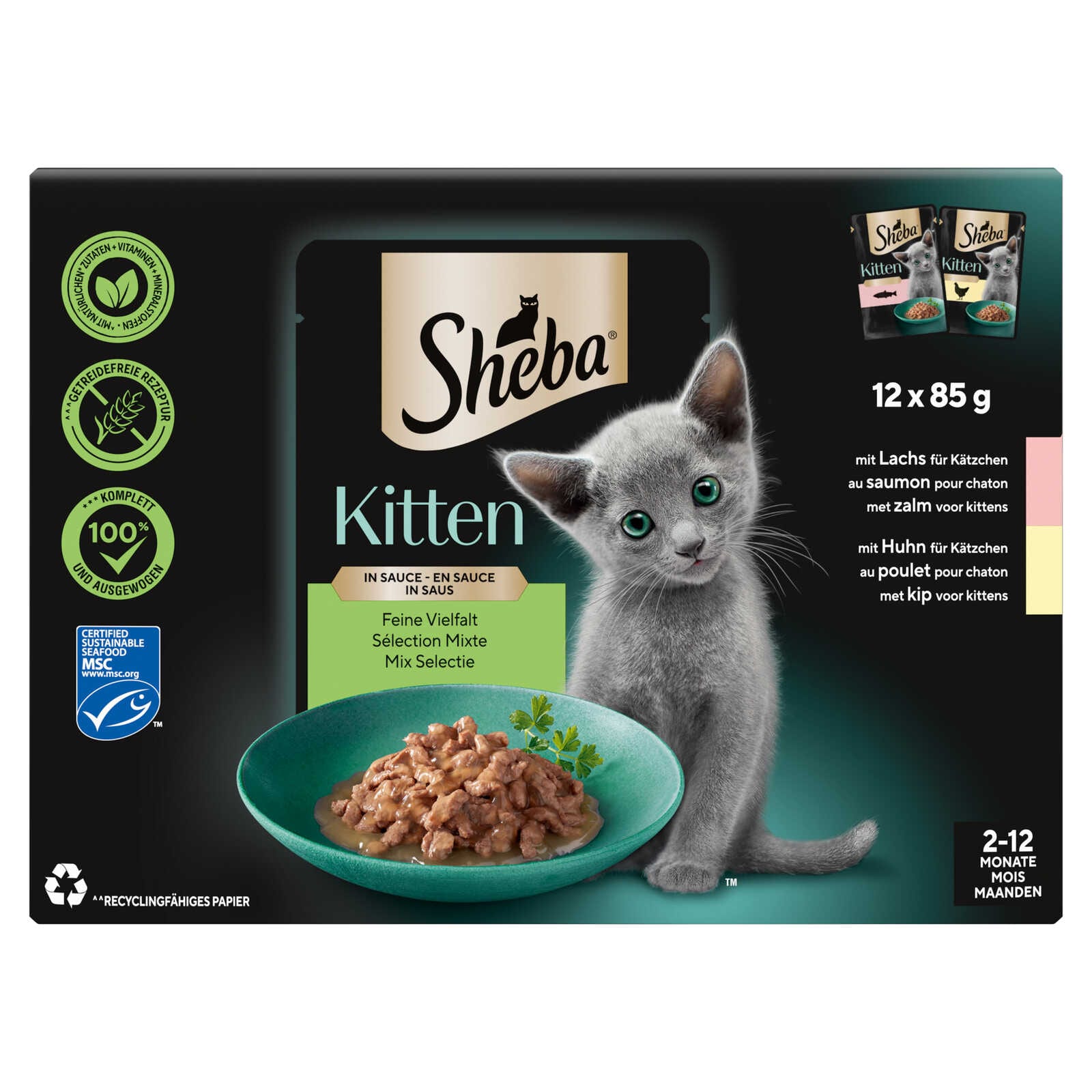 Sheba Kattenvoeding | Kitten | Mix