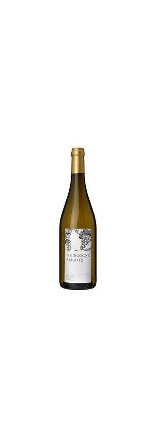 Delhaize | Bourgogne Aligoté 