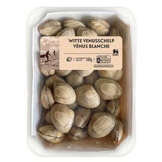 Delhaize | Witte venusschelpen | Levend 