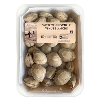 Delhaize | Witte venusschelpen | Levend 
