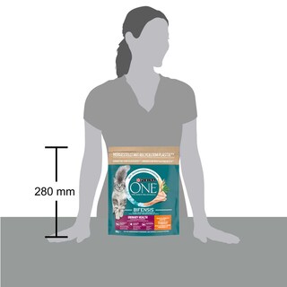 Purina ONE | Bifensis |Kattenvoeding | Adult | Urinary Care 800 gr