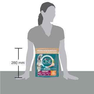 Purina ONE | Bifensis |Aliment Chat | Adulte | Urinary Care 