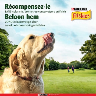 Friskies | Funtastix | Hondenvoeding | Adult | Snacks | Bacon 