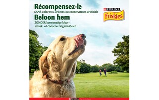 Friskies | Funtastix | Adulte | Friandises | Bacon & Fromage 