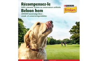 Friskies | Funtastix | Adulte | Friandises | Bacon & Fromage 