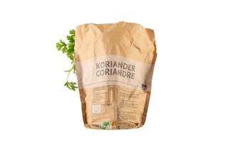 Delhaize | BIO | Bio | Koriander 