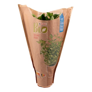 Delhaize | Bio | Oregano | Pot | Bio 