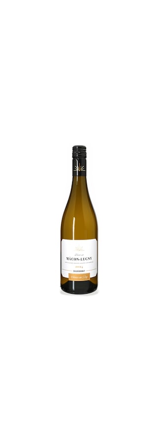 Delhaize | Macon Lugny 