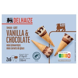Delhaize | Mini Ijshoorn vanille en chocolade 