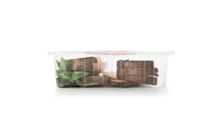 Delhaize
