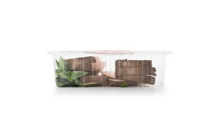 Delhaize | Eryngiisteaks 